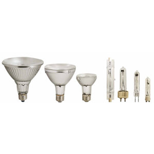 Ceramic Metal Halide