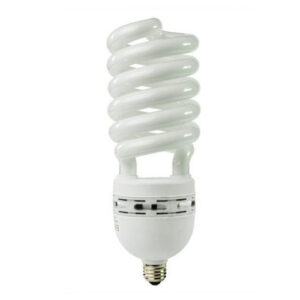 CFL High Wattage Self-Ballasted